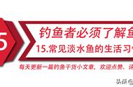 钓鱼爱好者必备：淡水鱼生活习性详解