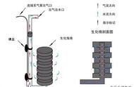 小型热带鱼鱼缸的过滤神器，繁殖中小型观赏鱼的首选