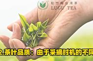 台湾高山茶春茶与冬茶：究竟有何不同？#茶文化