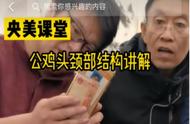 央美教授国画短视频教学：艺术的传承与创新