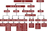 探索刺猬紫檀的独特魅力与特点