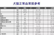 宠物医生详解宠物化验单，轻松解读主子健康报告！