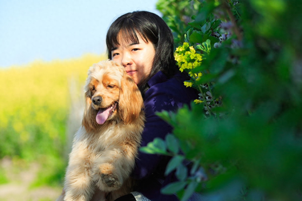 图虫人文摄影：可卡犬