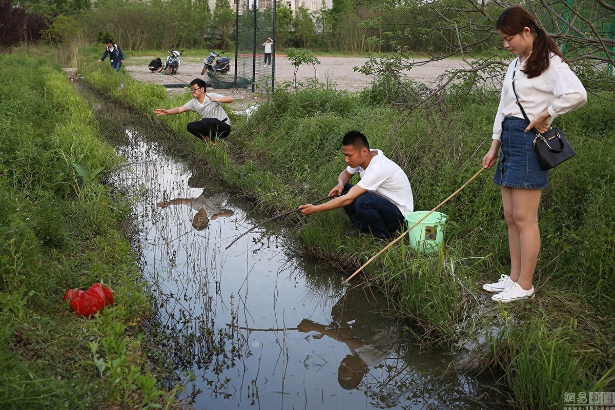 高校学生课余闲暇时间坐在校园里的水边钓虾，收获颇丰！